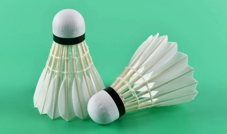 Cách Chơi Cá Cược Cầu Lông Tại Vin68 Thắng Lớn Mỗi Ngày 1 Cầu Lông Tại Vin68