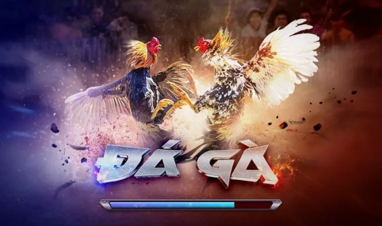 Đá Gà 3D Tại Vin68