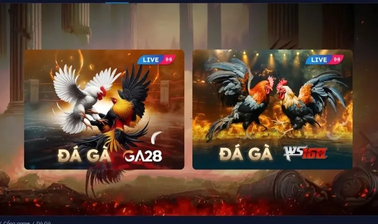Sảnh Đá Gà Vin68 thiết kế giao diện đẹp, ấn tượng