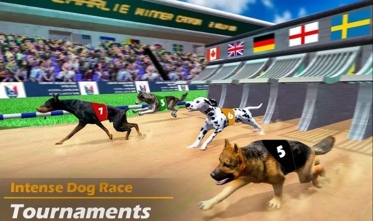 Kinh Nghiệm Và Cách Chơi Game Nhanh Đua Chó Tại Vin68 Đỉnh Cao Nhất 2 Cách chơi game nhanh Đua Chó Tại Vin68